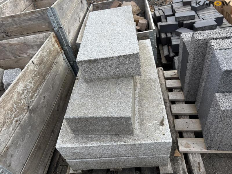 Various paving stones 65