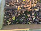 Feed fence with catch grid 14