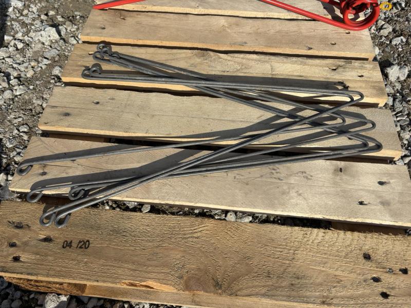 Fransgård springs 6