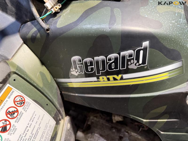 Gepard LX150-3A ATV 23