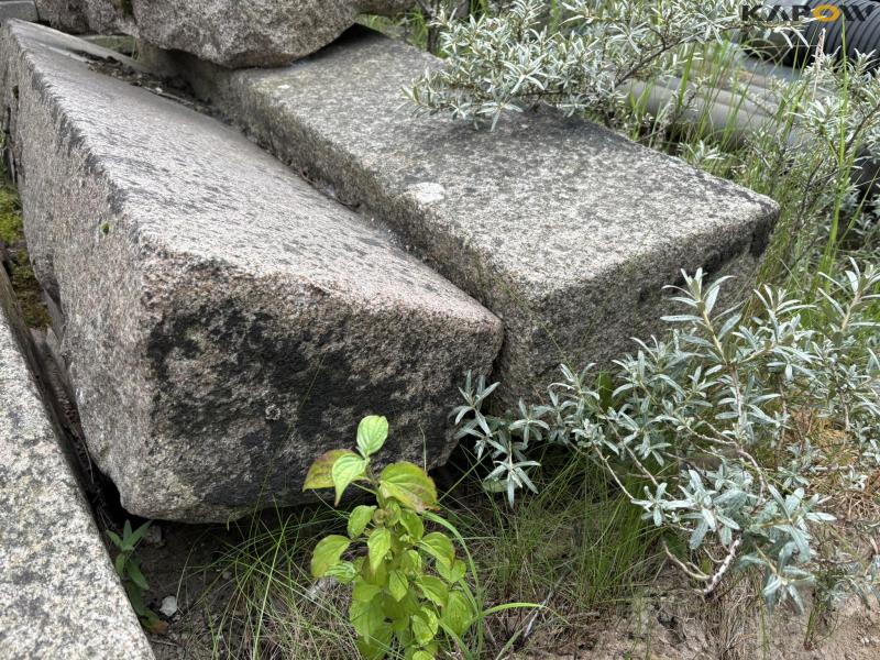 Granite stepping stones 4 pcs. 10