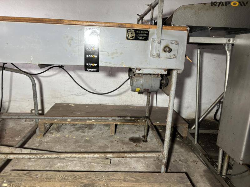 HC Jensen fruit sorting belt and table 13