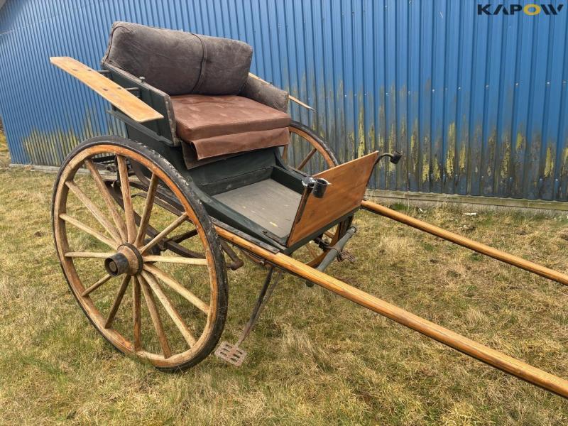 Horse-drawn carriage jumper 2