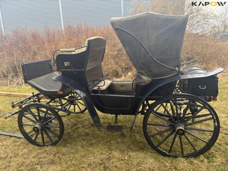 Horse-drawn carriage for two horses 6