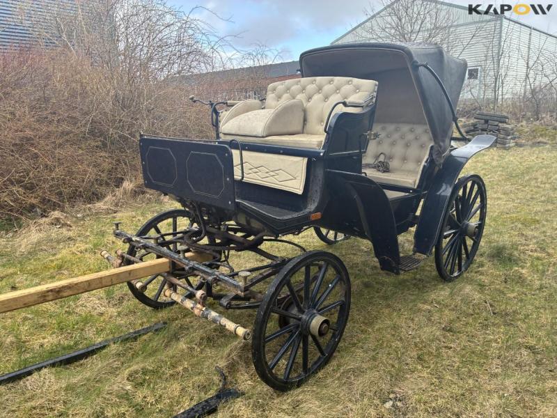 Horse-drawn carriage for two horses 7