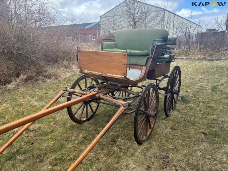 Horse-drawn carriage 7