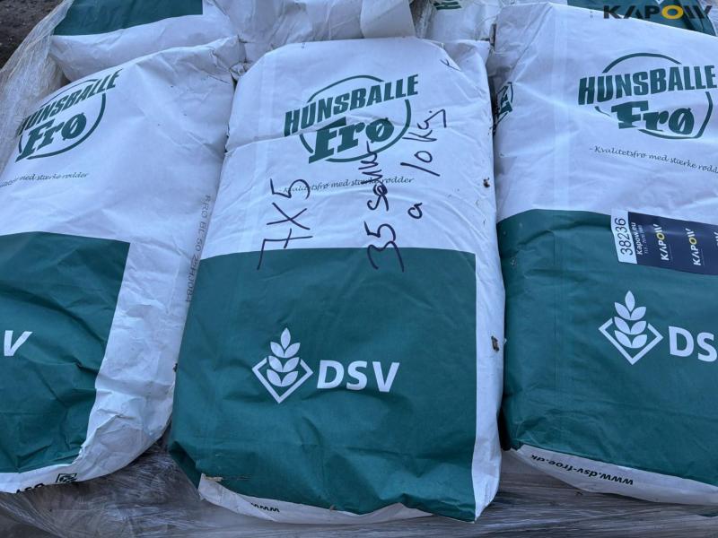 Hunsballe seeds 11