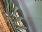 John Deere side shield 22