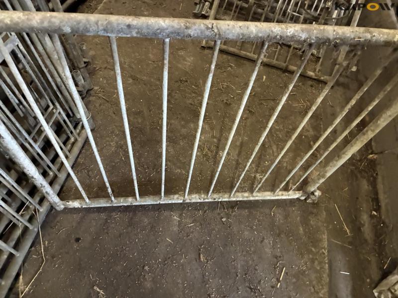 Wall-mounted calf boxes 7