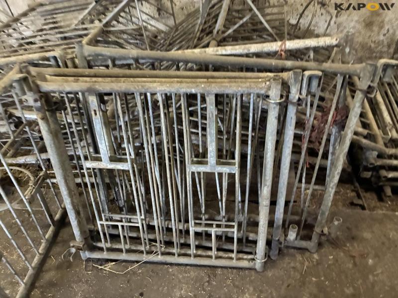 Wall-mounted calf boxes 12