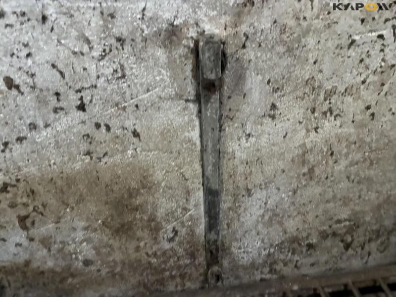 Wall-mounted calf boxes 21