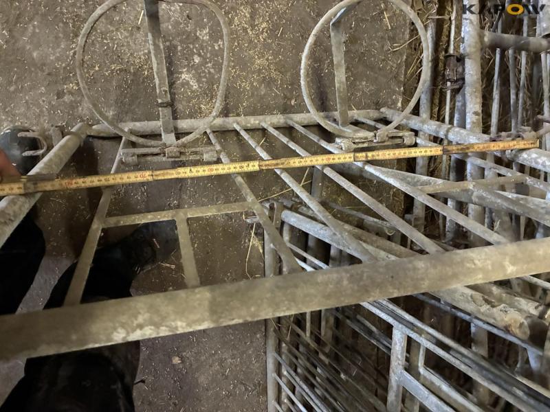 Wall-mounted calf boxes 31