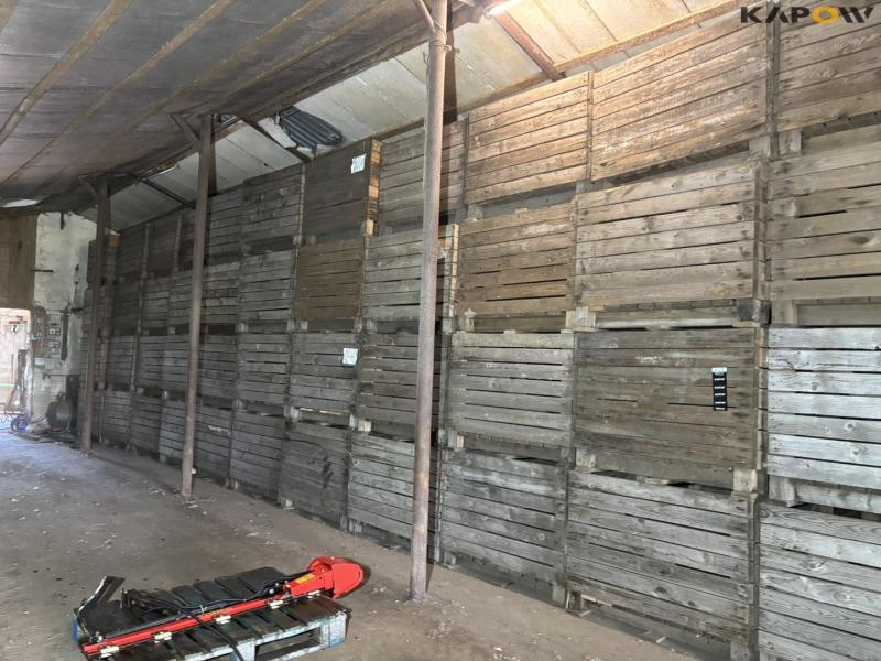 Potato boxes 1