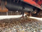 Kuhn VKM 305 fallow mower 14