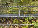 Macdon FD245 header 30