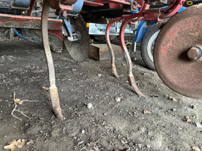 Marsk Stig potato hops 8