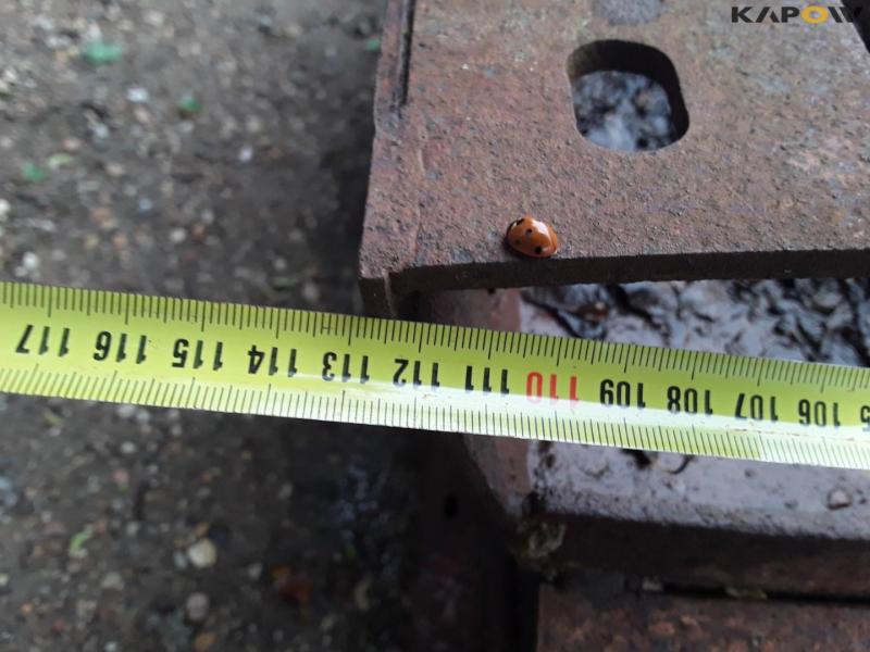 Metal formwork 12