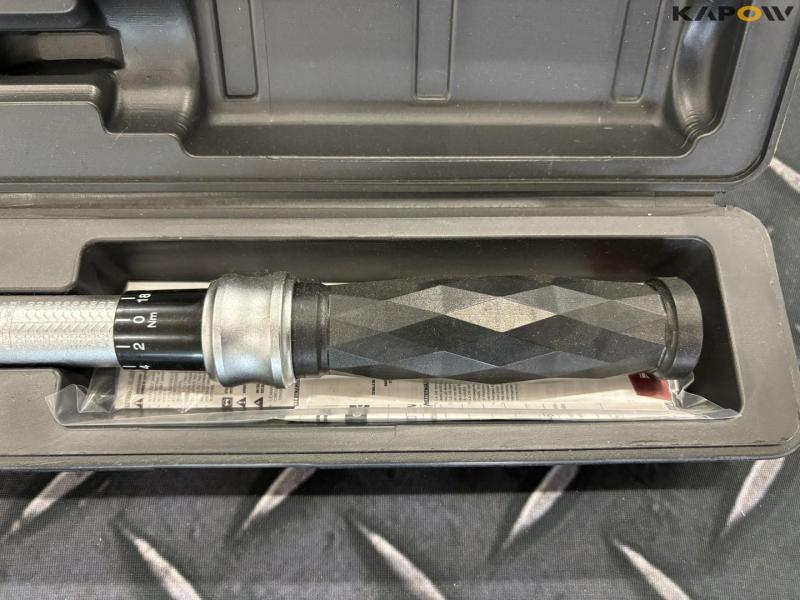 Torque wrench and socket set 3