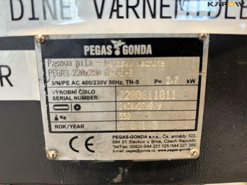 Pegas 200x250 band saw 40