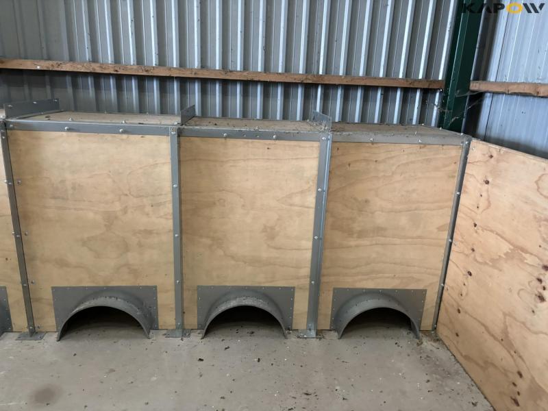 Plant drying plant 13