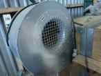 Plant drying plant 29