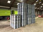 Plastic pallets 1