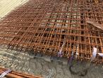Rionet/ Rebar 14
