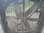 Rotor fan 7