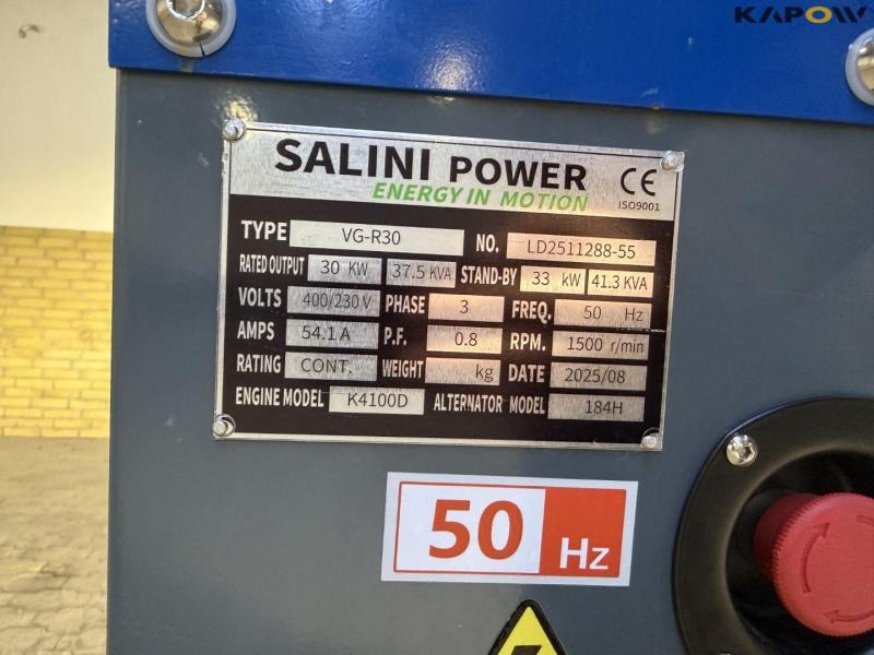 Salini Power VG-R30 generator 10