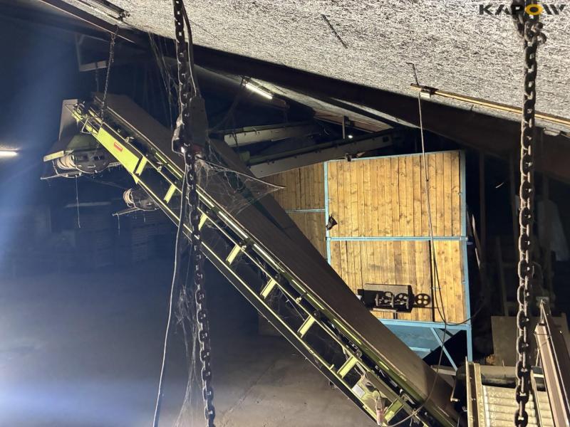 Peeling potato sorting machine 76