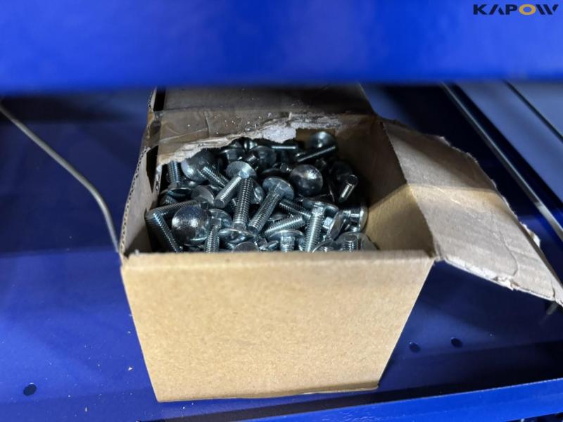 Screws/Bolts and miscellaneous 75