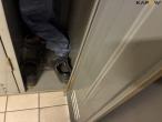 Clear the room - wardrobe, cleaning, clothes and shoes 8