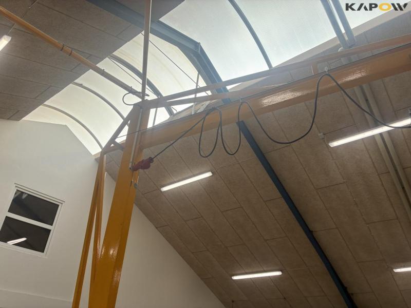 Workshop crane with 500kg Delta hoist 15