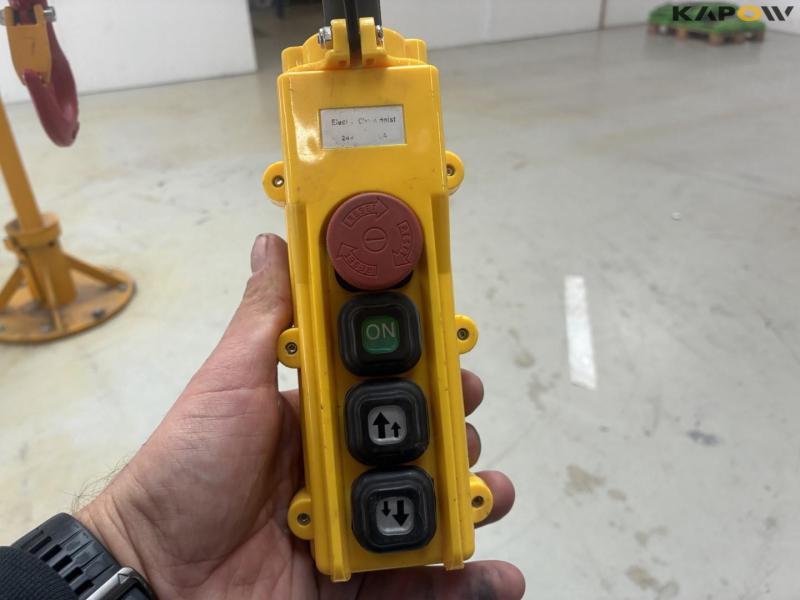 Workshop crane with 500kg Delta hoist 19