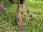 Vogel & Noot PD 8010C stubble harrow 7 teeth 16