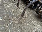 Combi set doublet record with Nordsten NS3040 seeder 15