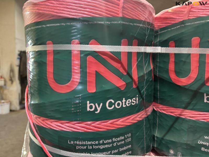 Cotesi twine 11