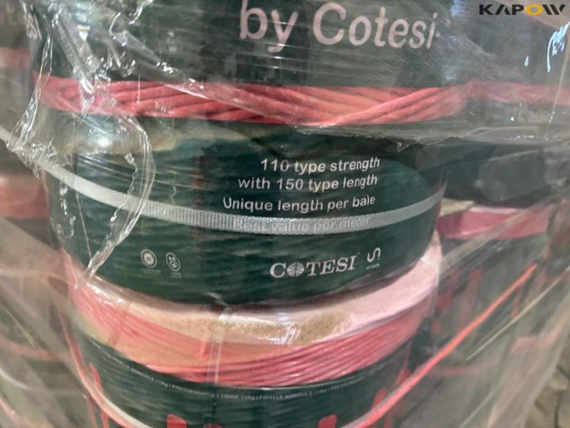 Cotesi twine 13