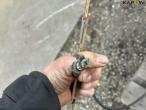 Miscellaneous cable 11