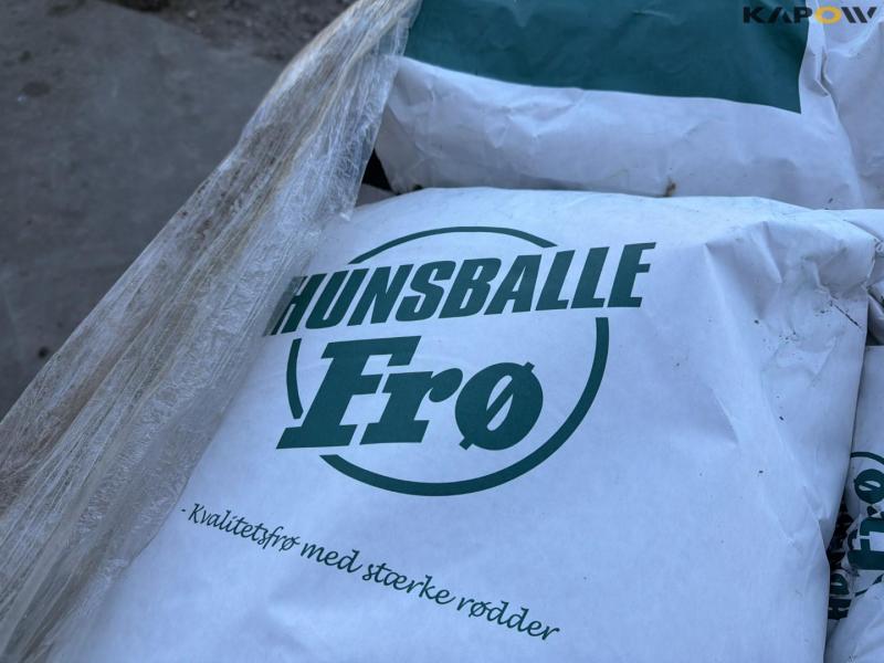 Hunsballe seeds 12