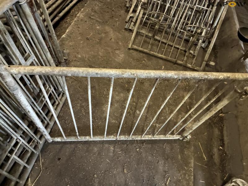 Wall-mounted calf boxes 6