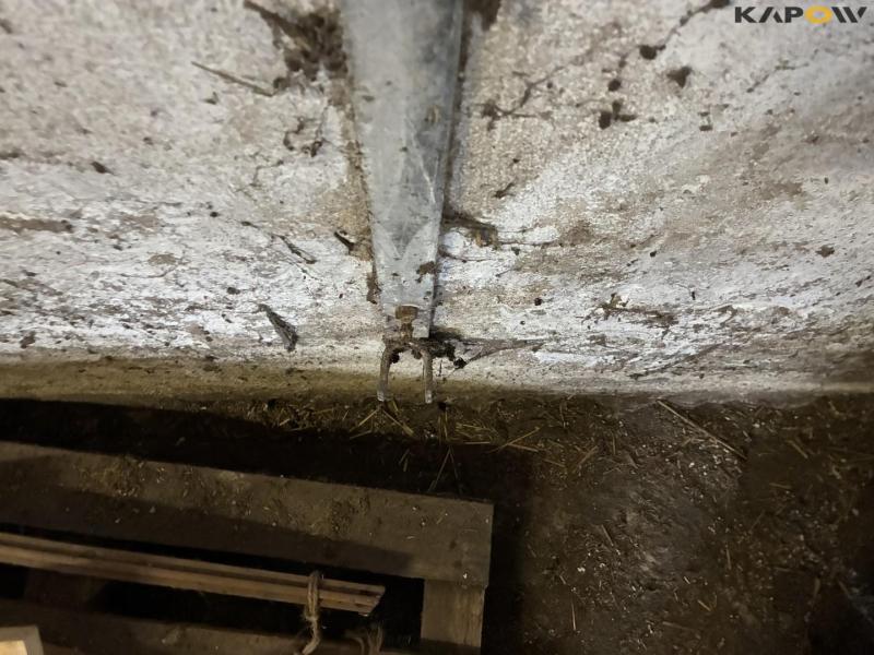 Wall-mounted calf boxes 24