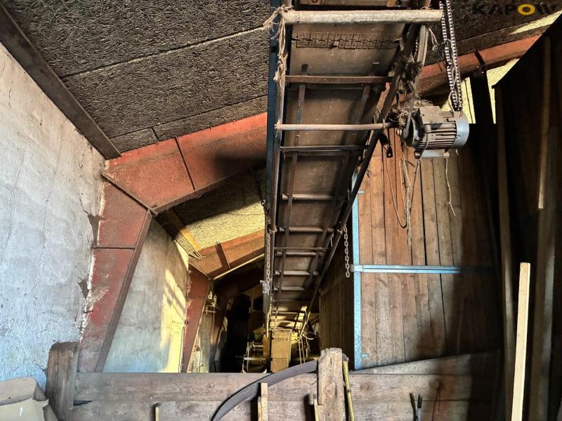 Peeling potato sorting machine 56